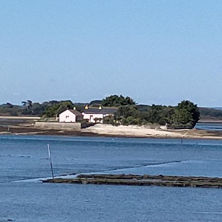 Au Calme, Les Pieds Dans L'Eau, 106 Route De La Pointe De Ruault 56370 Sarzeau 아파트 외부 사진