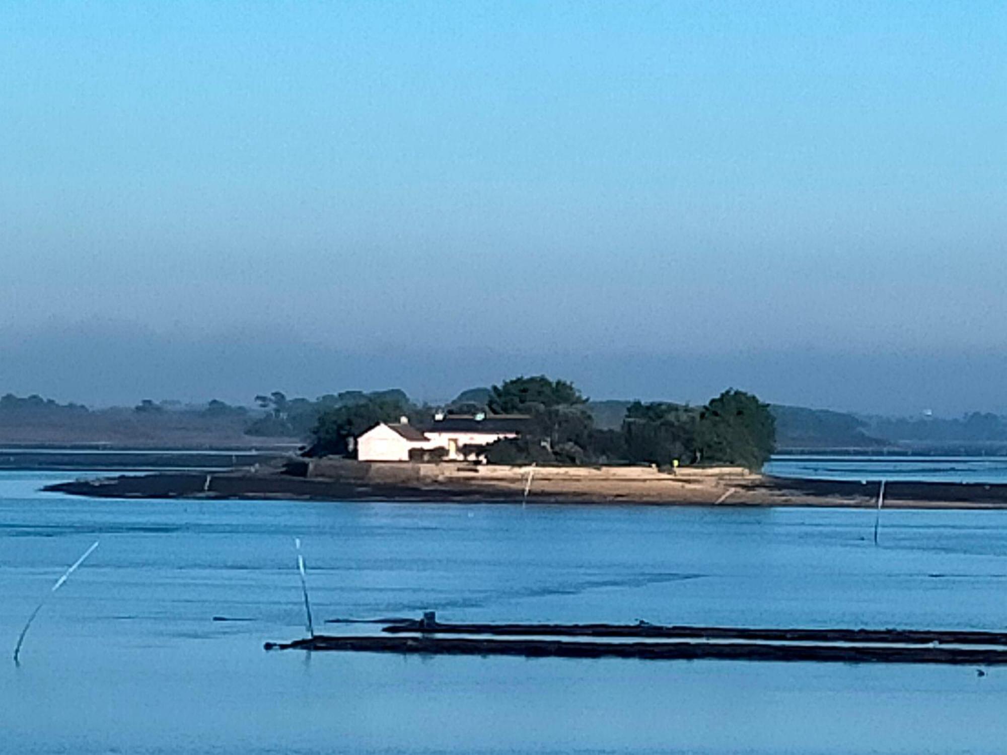 Au Calme, Les Pieds Dans L'Eau, 106 Route De La Pointe De Ruault 56370 Sarzeau 아파트 외부 사진